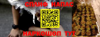 шишки Обь