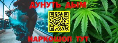 шишки Обь
