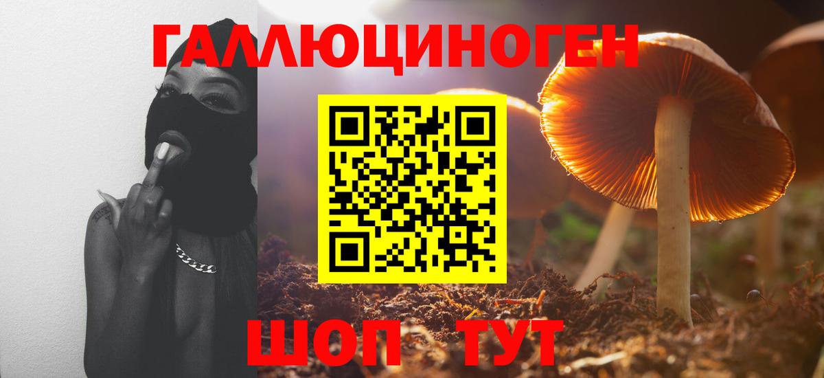Псилоцибиновые грибы GOLDEN TEACHER Сочи
